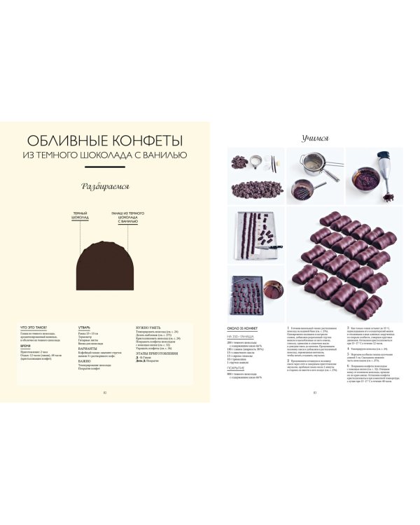 Большая книга шоколатье: Конфеты, выпечка, десерты, антреме. Учимся готовить шедевры