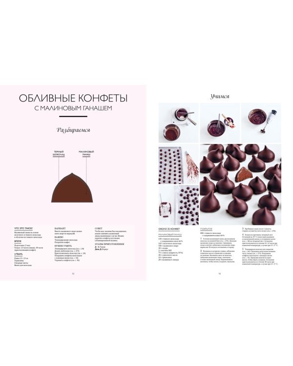 Большая книга шоколатье: Конфеты, выпечка, десерты, антреме. Учимся готовить шедевры