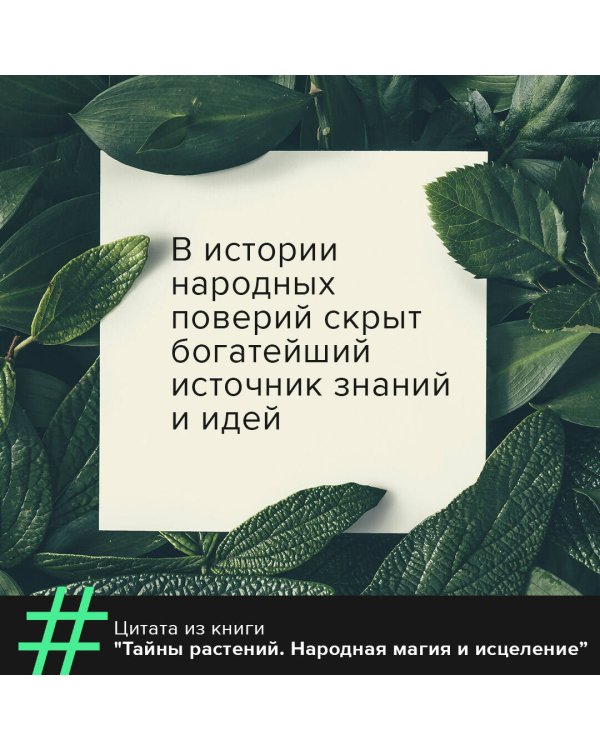 Тайны растений. Народная магия и исцеление
