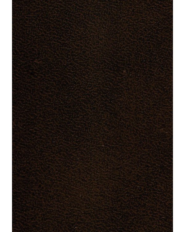 Анти-Макиавелли