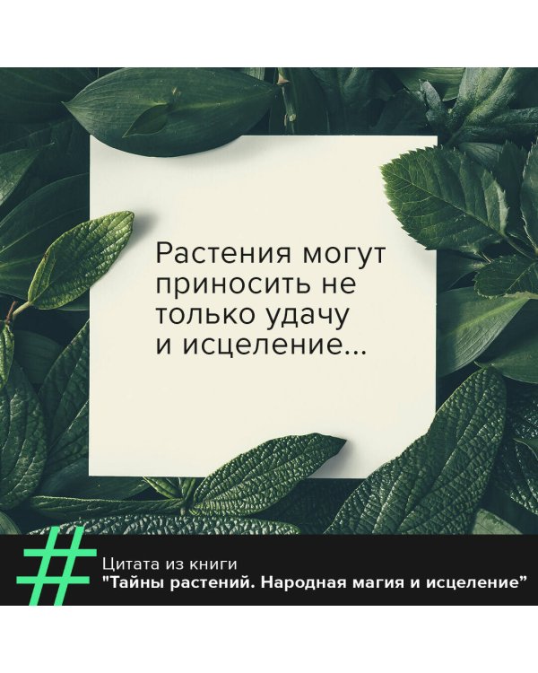 Тайны растений. Народная магия и исцеление