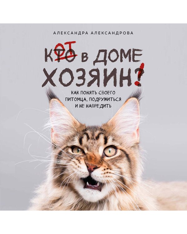 Кот в доме хозяин! Как понять своего питомца, подружиться и не навредить