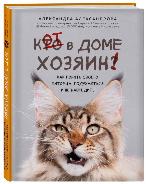 Кот в доме хозяин! Как понять своего питомца, подружиться и не навредить