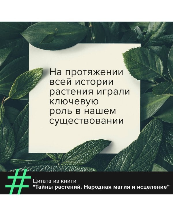 Тайны растений. Народная магия и исцеление