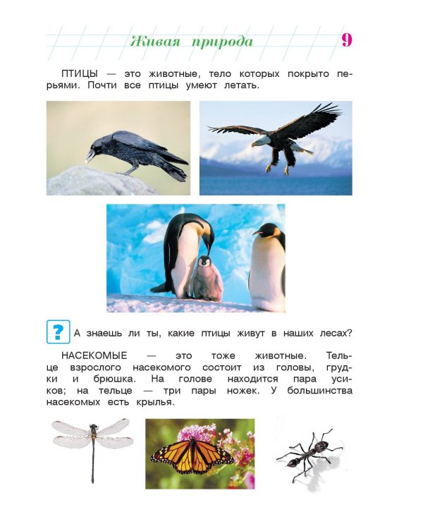 Изучаю мир вокруг: для детей 6-7 лет. Ч. 2