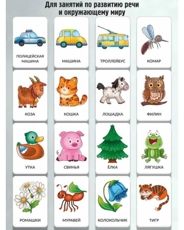 Набор карточек Мир вокруг