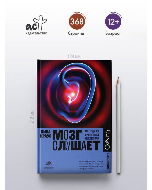 Мозг слушает