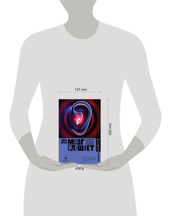 Мозг слушает