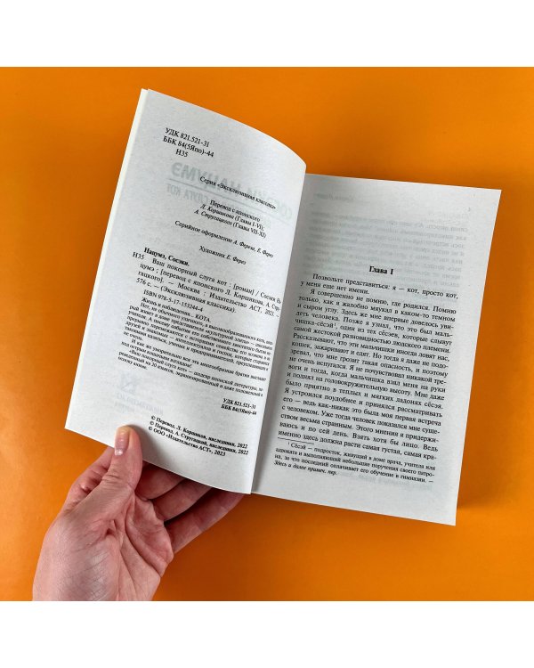 Ваш покорный слуга кот