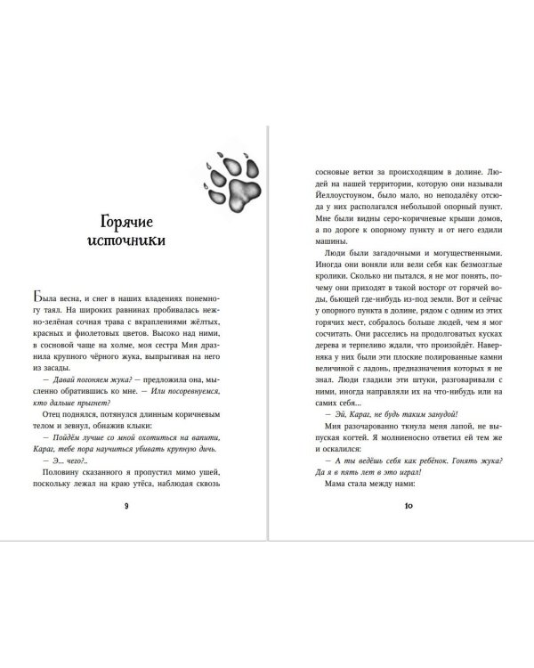 Тайна Холли (#3)