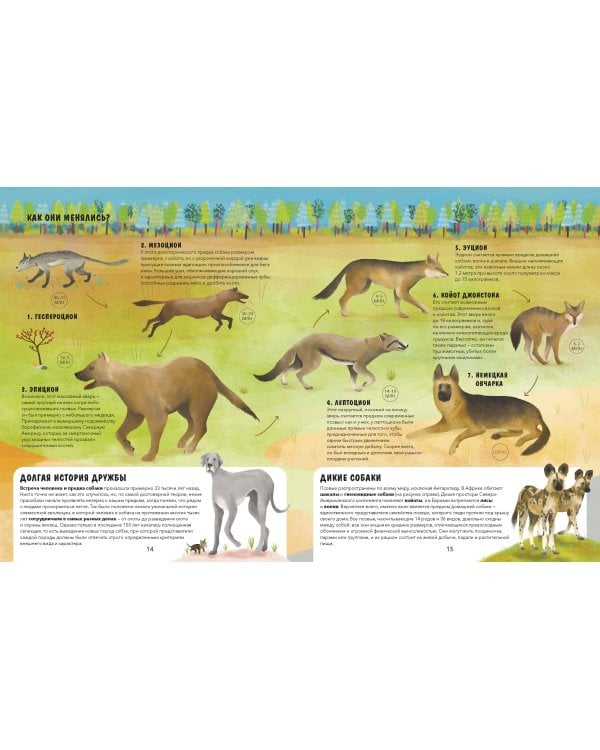 Эволюция. Как изменилась жизнь за миллиарды лет
