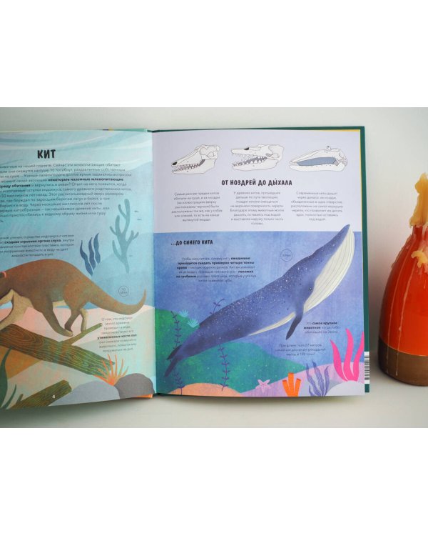 Эволюция. Как изменилась жизнь за миллиарды лет