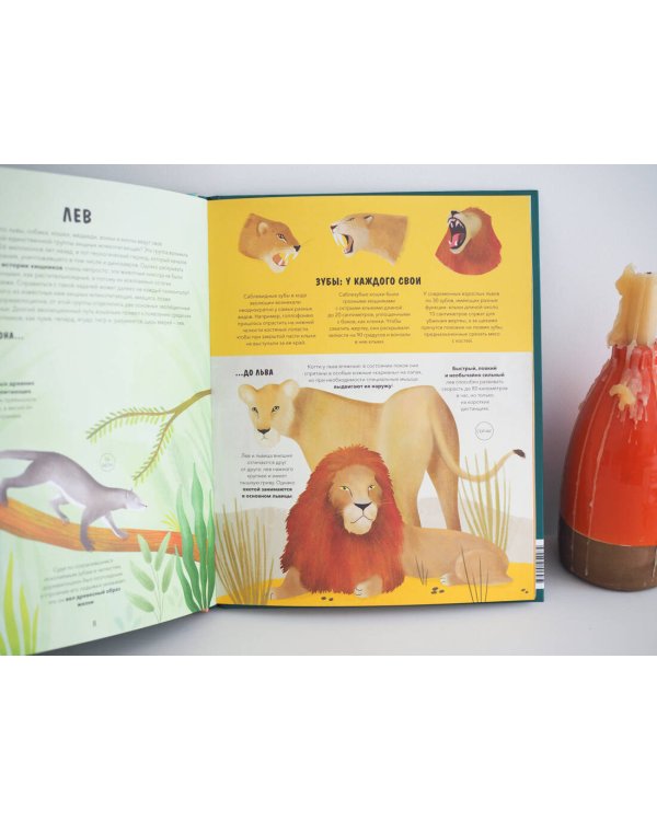 Эволюция. Как изменилась жизнь за миллиарды лет