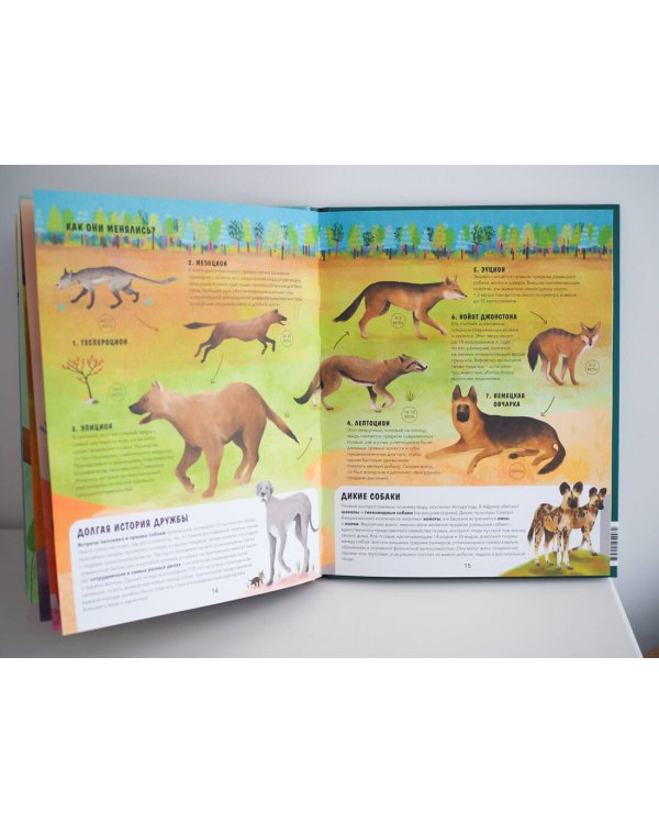 Эволюция. Как изменилась жизнь за миллиарды лет