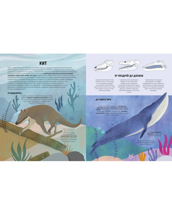 Эволюция. Как изменилась жизнь за миллиарды лет