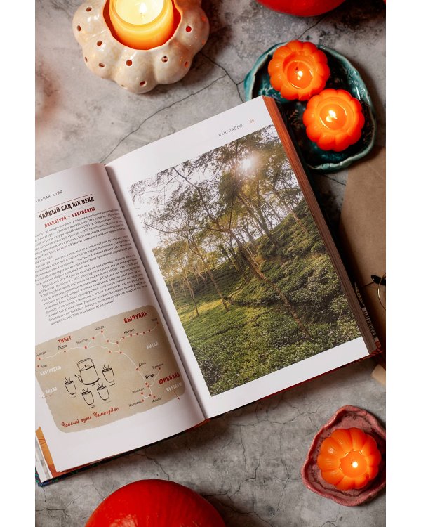 GASTRO OBSCURA. Кулинарные чудеса со всего мира