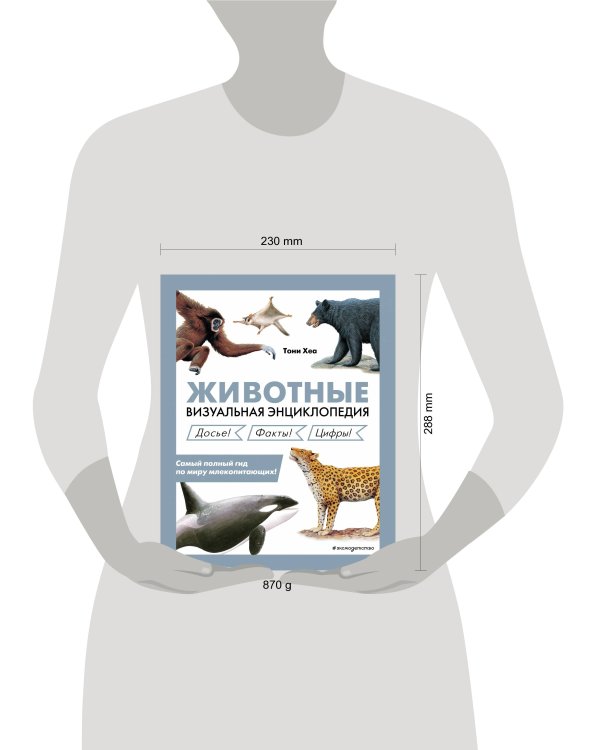 Животные. Визуальная энциклопедия