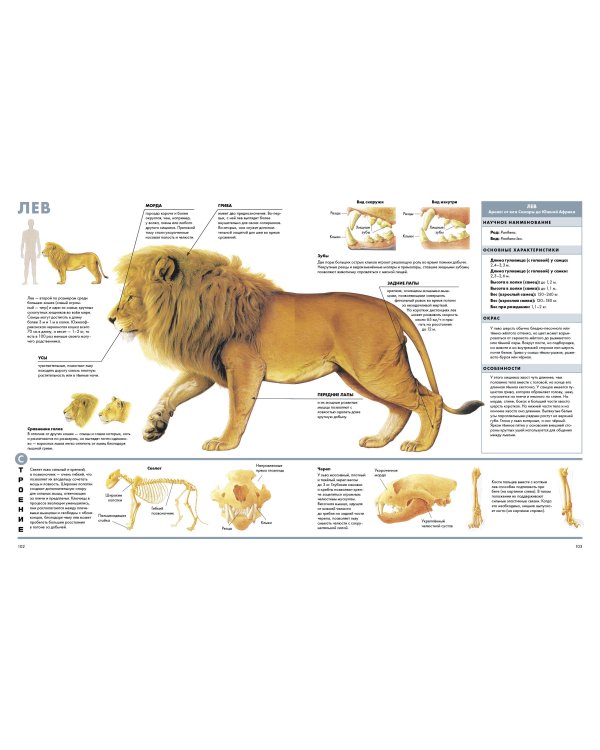 Животные. Визуальная энциклопедия