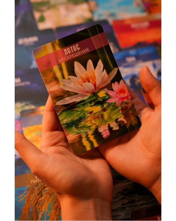 Сила природы. Оракул. 44 карты и руководство. Таро, гадания и знаки