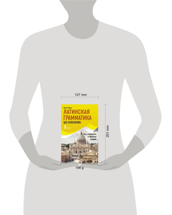 Латинская грамматика без репетитора. Все сложности в простых схемах