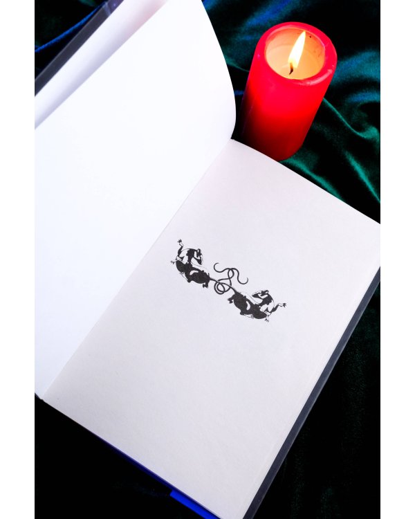 Тропа Крысиного короля