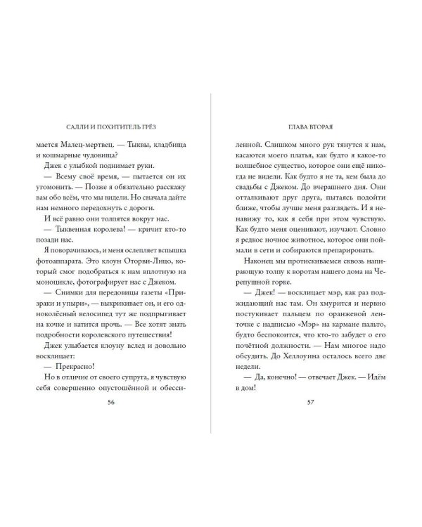 Кошмар перед Рождеством. Салли и похититель грёз