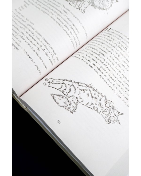 День святого Патрика и остальные 364