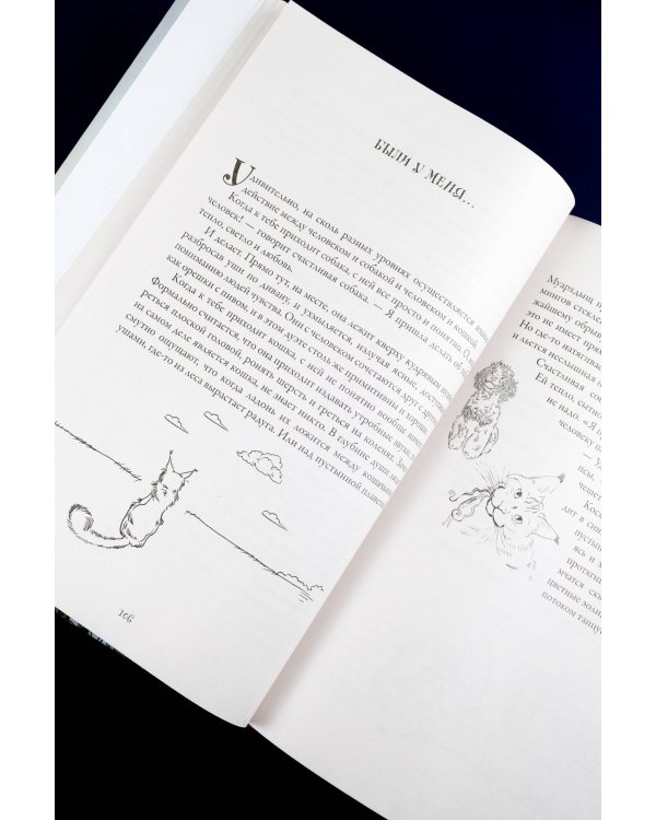 День святого Патрика и остальные 364