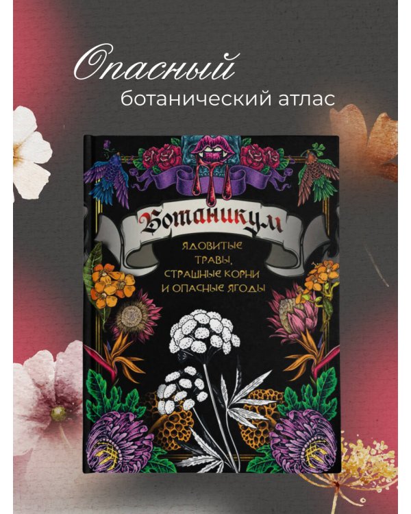 Ботаникум: ядовитые травы, страшные корни и опасные ягоды