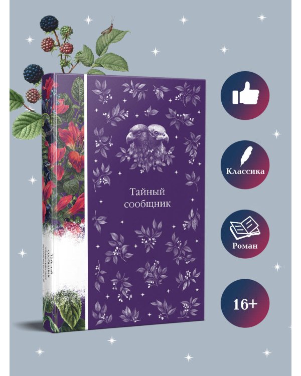 Тайный сообщник