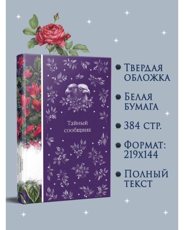 Тайный сообщник