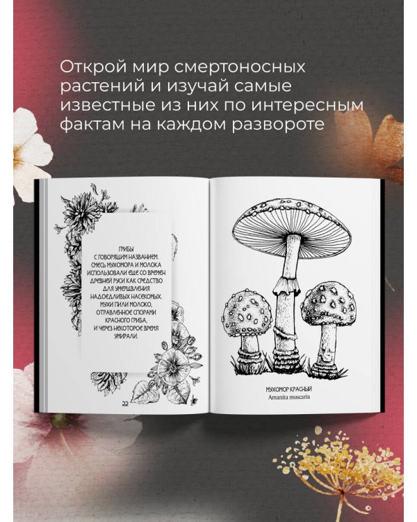 Ботаникум: ядовитые травы, страшные корни и опасные ягоды