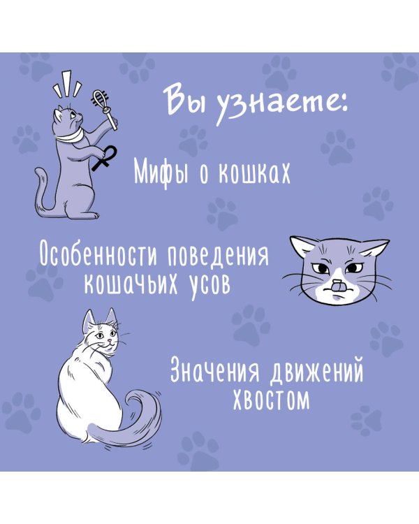 Я тебя пониМЯУ. Как понять язык кошки