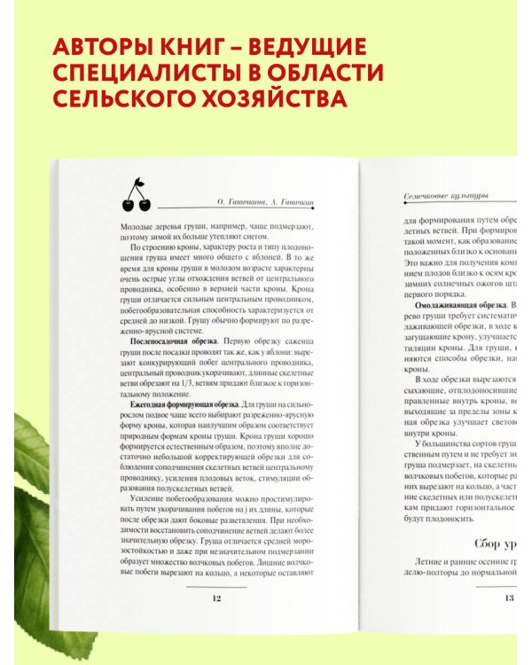 Дача всем на зависть. Комплект из 3 книг от Октябрины Ганичкиной (ИК)