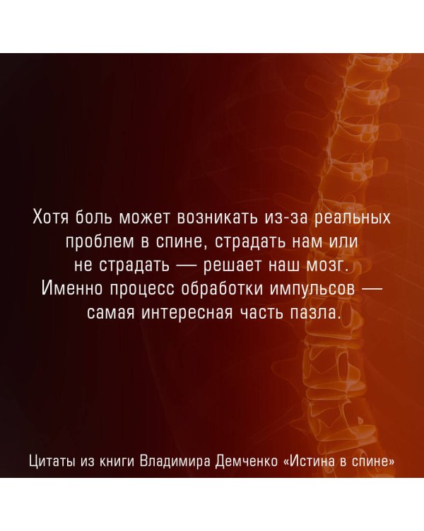 Истина в спине. Как избавиться от боли без уколов и операций