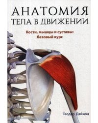 Анатомия тела в движении