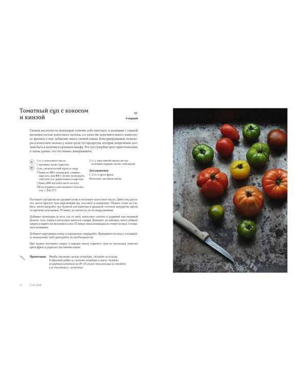 Суп дня: Супы, бульоны, пюре, а также хлеб, крутоны, гренки. 120 живительных рецептов