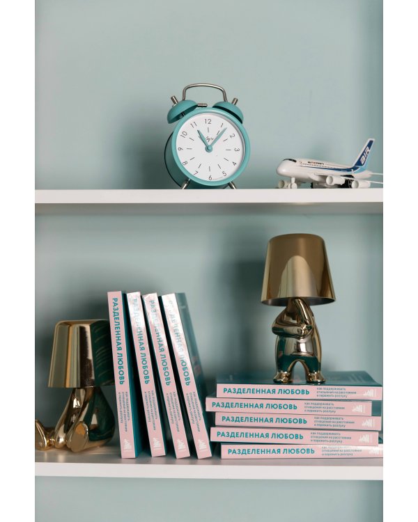 Разделенная любовь. Как поддерживать отношения на расстоянии и пережить разлуку