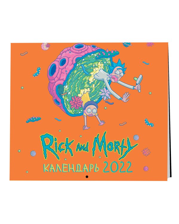 Рик и Морти (цветной). Календарь настенный на 2022 год (300х300 мм)