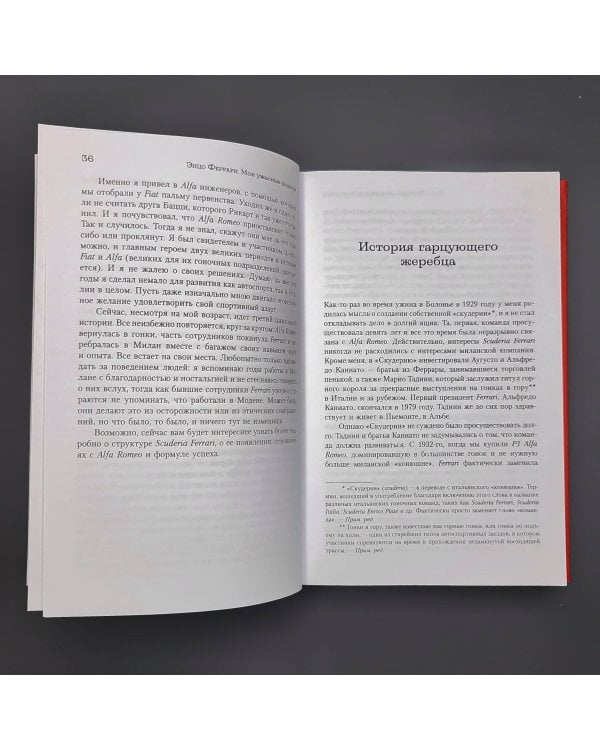 Мои ужасные радости. История моей жизни