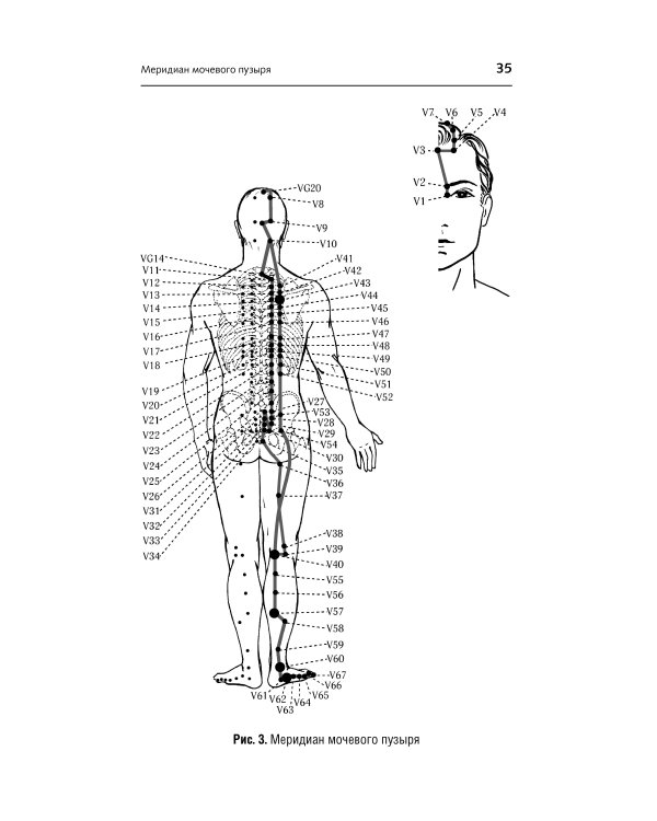 САНЬ-ИНЬ-ЦЗЯО и другие целительные точки для мужского и женского здоровья