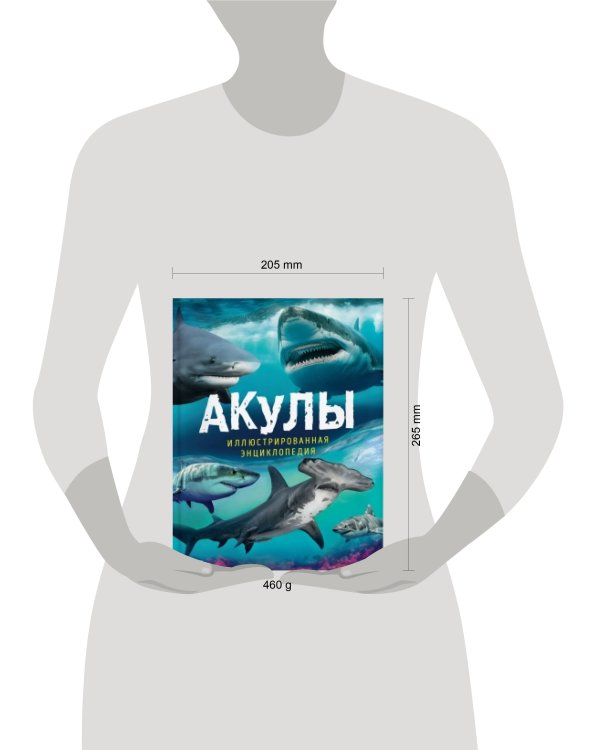 Акулы. Иллюстрированная энциклопедия
