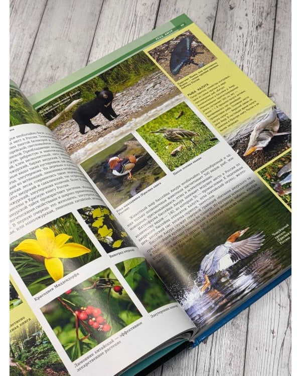 Реки. Уникальная Россия