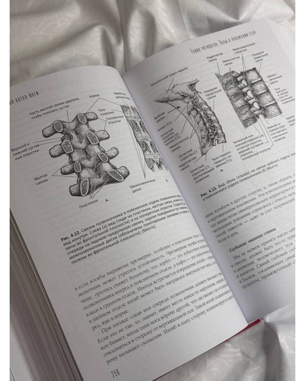 Анатомия хатха-йоги. Дополненное и обновленное издание