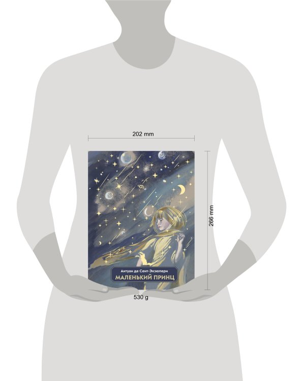 Маленький принц (ил. Н. Гольц)