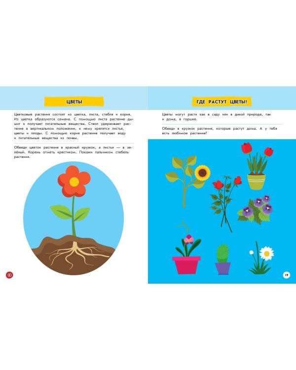 Изучаю мир вокруг: для детей от 5 лет