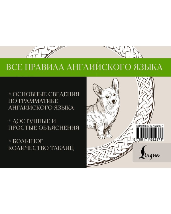 Все правила английского языка