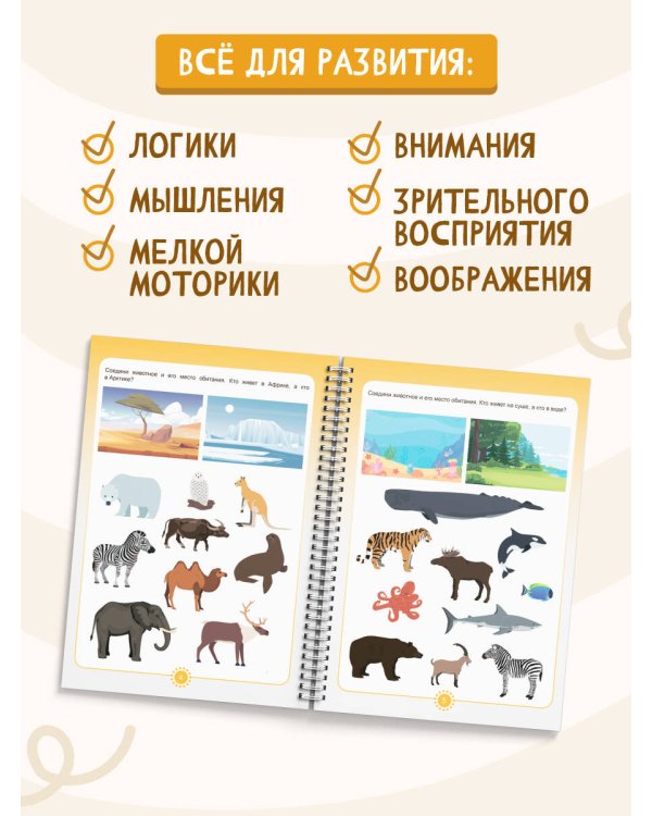 Пиши-стирай 4-6 лет