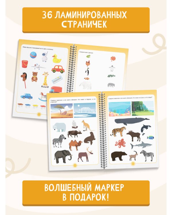 Пиши-стирай 4-6 лет