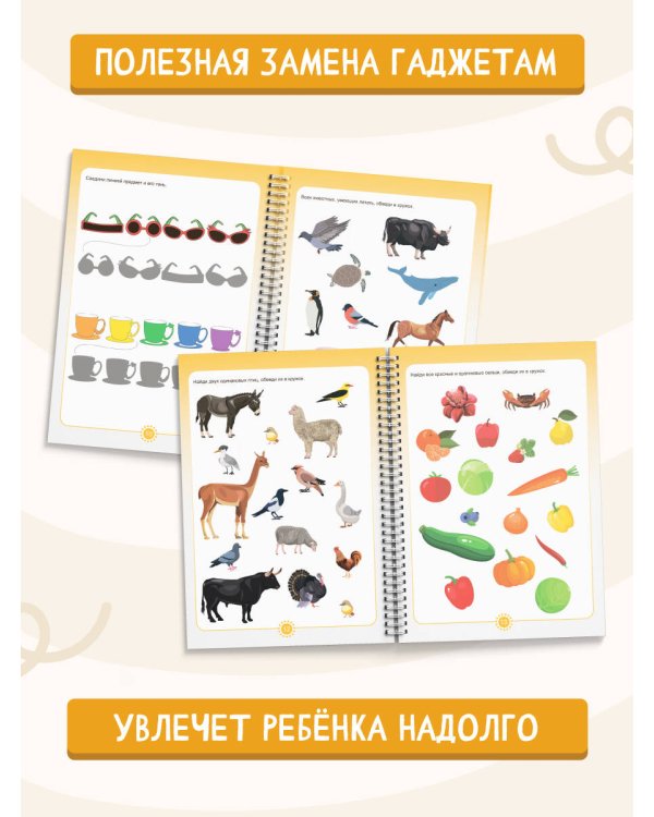 Пиши-стирай 4-6 лет